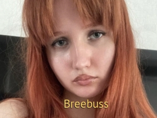 Breebuss
