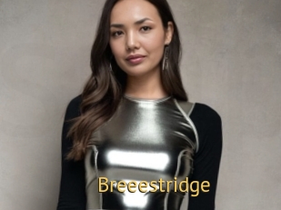Breeestridge