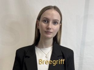 Breegriff
