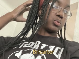 Bricarter