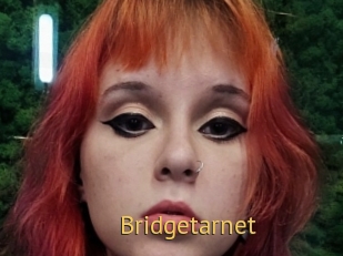 Bridgetarnet