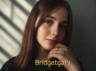 Bridgetgary