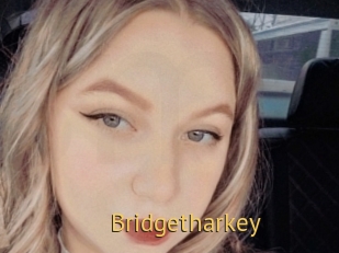 Bridgetharkey