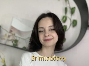 Brimladdavy