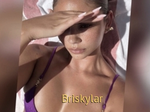 Briskylar