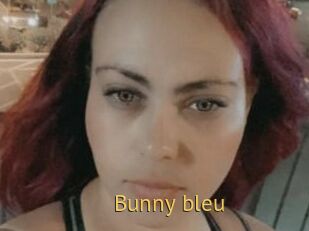 Bunny_bleu