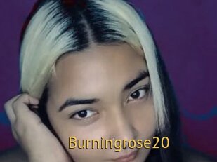 Burningrose20