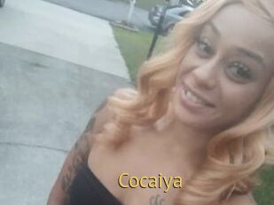 Cocaiya