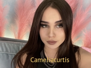 Cameliacurtis