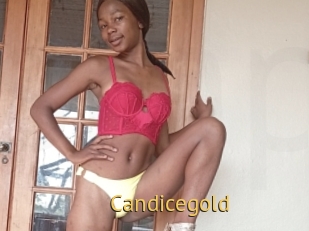 Candicegold