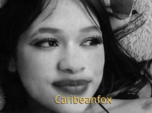Caribeanfox