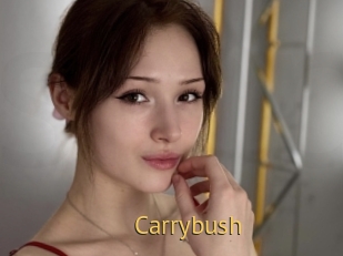 Carrybush