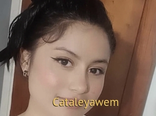 cataleyawem Smilin Pussy