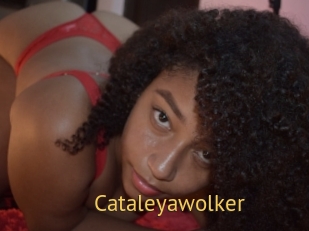 Cataleyawolker