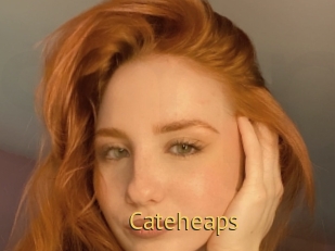 Cateheaps