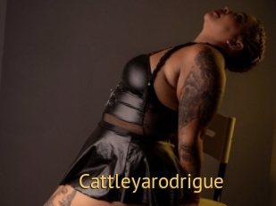 Cattleyarodrigue