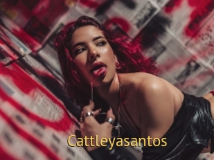 Cattleyasantos
