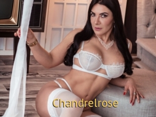 Chandrelrose