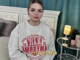 Chloebush