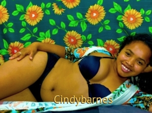Cindybarnes