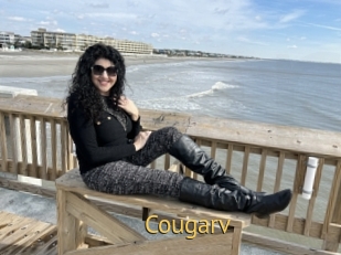 Cougarv