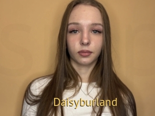 Daisyburland