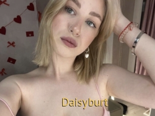 Daisyburt