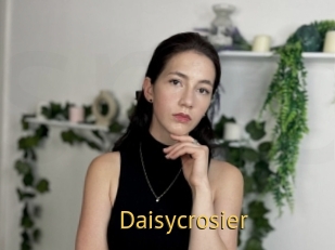 Daisycrosier