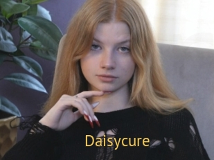 Daisycure