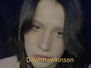 Dawnhawkinson