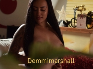Demmimarshall