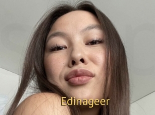 Edinageer