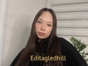 Editagledhill