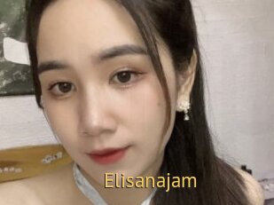 Elisanajam