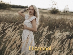 Elizamool