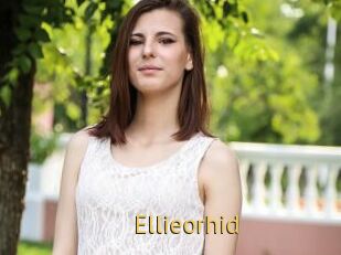 Ellieorhid