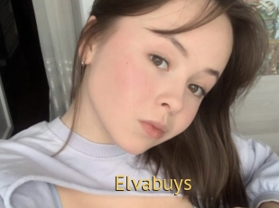 Elvabuys