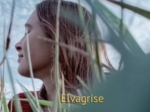 Elvagrise