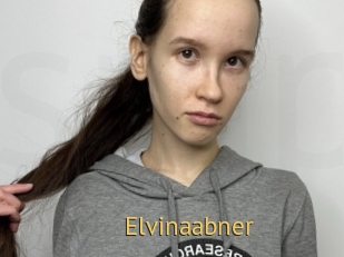 Elvinaabner