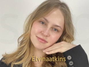 Elvinaatkins