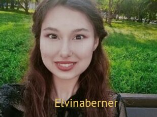 Elvinaberner