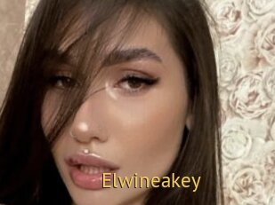 Elwineakey