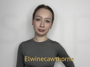 elwinecawthorne Smilin Pussy