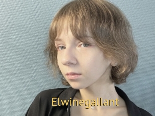 Elwinegallant