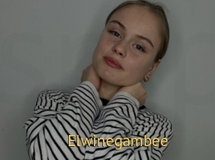 Elwinegambee