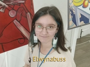 Elwynabuss