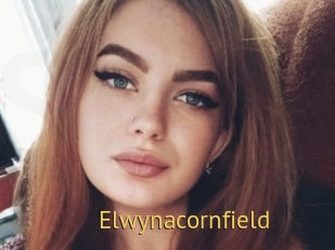Elwynacornfield