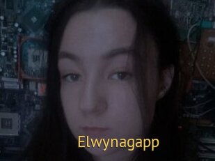 Elwynagapp