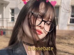 Erlenebate