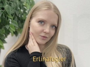 Erlinafugler